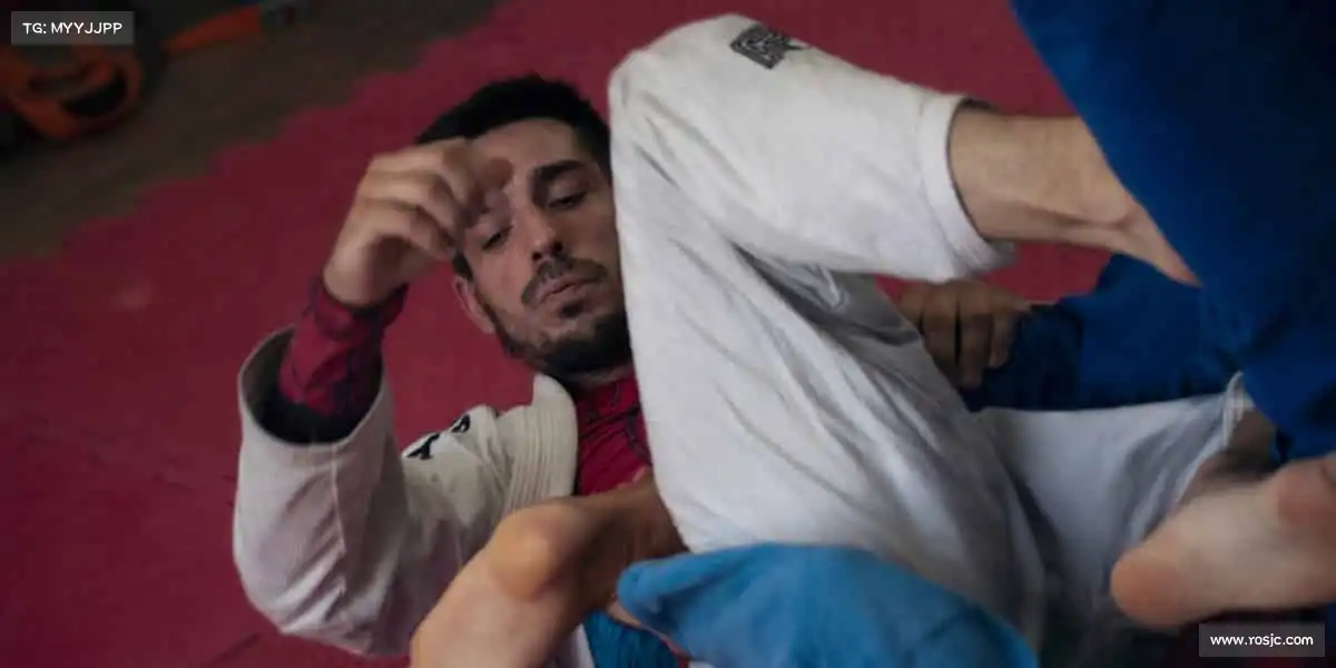 BBIN宝盈集团首页——🦾拳腿组合，攻防一体！